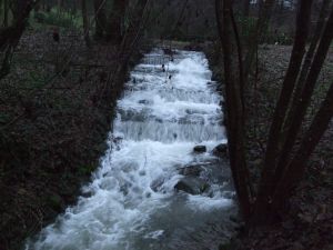 Bild 2: Schönes Ferienappartement im Sauerland