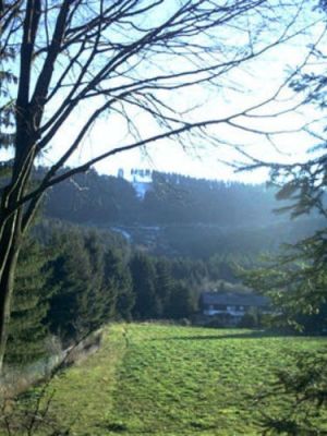 Bild 18: Wunderbare Wanderbasis für Hund und Mensch: Ferienhaus Frenkhausen