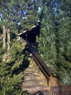 Bild 19: Wunderbare Wanderbasis für Hund und Mensch: Ferienhaus Frenkhausen