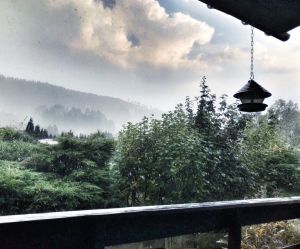 Wunderschöne Lage - Bild 20: Wunderbare Wanderbasis für Hund und Mensch: Ferienhaus Frenkhausen