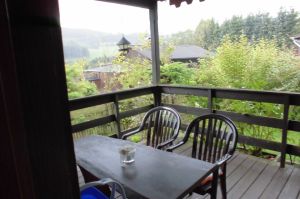 Elektrogrill, 

rustikale Holzsitzgruppe - Bild 10: Wunderbare Wanderbasis für Hund und Mensch: Ferienhaus Frenkhausen