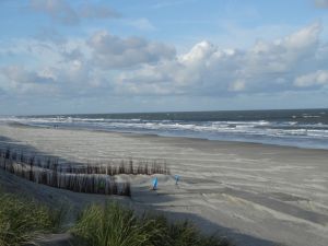 9 km Sandstrand nur 80 m von unserer Ferienwohnung entfernt. - Bild 14: EG Ferienwohnung 80 m zum Strand in Juliusruh, 9 km Sandstrand