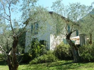 Bild 3: Ferienhaus Laura in Malcesine in einem 2500 m² großen Olivenhain