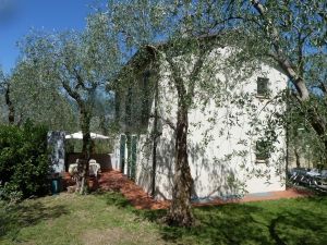 Bild 5: Ferienhaus Laura in Malcesine in einem 2500 m² großen Olivenhain