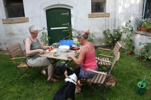 Deshalb sind auch die Hunde immer mit dabei und als Gast herzlich willkommen! - Bild 12: Ferienzimmer und Ferienwohnung auf dem Bauernhof