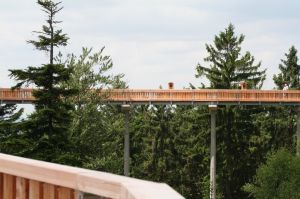 Eine Attraktion ist der Baumwipfelweg bei St. Englmar. Er ermöglicht einen Spaziergang in luftiger Höhe mit hervorragender Aussicht. Auch Hunde dürfen hier mitgenommen werden ! - Bild 17: Blockhausurlaub Bayerischer Wald - ideal für Familien mit Kindern und Hund