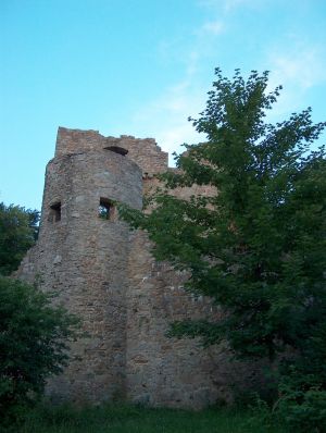 Die Ruine Kürnburg befindet sich im Wald oberhalb des Ferienparks in einer Entfernung von ca. 500 m. - Bild 15: Blockhausurlaub Bayerischer Wald - ideal für Familien mit Kindern und Hund