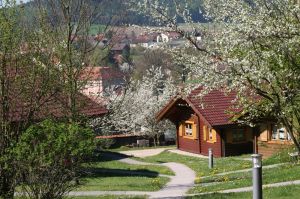 Blick von oben aus dem Ferienpark auf den Ort Stamsried mit dem Barockschloß in der Mitte. - Bild 9: Blockhausurlaub Bayerischer Wald - ideal für Familien mit Kindern und Hund