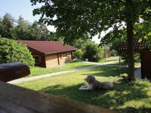 Kaja fühlt sich wohl im Schatten der Linde. - Bild 14: Urlaub im Blockhaus - Ruhe und Natur für Mensch und Hund