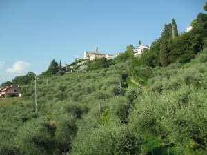 Bild 3: FEWO Casa San Zeno