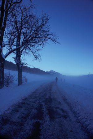 Bild 17: Ferienwohnung "Stantes" - Oberallgäu - Hunde herzlich willkommen