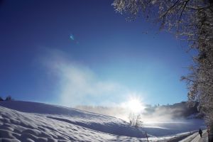 wenn die Sonne den Schnee im Oberallgäu zum Glitzern bringt. - Bild 16: Ferienwohnung "Stantes" - Oberallgäu - Hunde herzlich willkommen