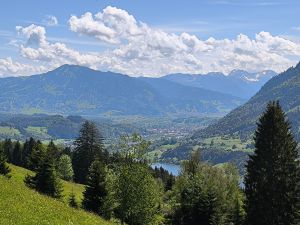 Bild 14: Ferienwohnung "Stantes" - Oberallgäu - Hunde herzlich willkommen