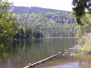 Bild 56: Ferienhaus Degenhardt - Im Urlaub und doch zu Hause