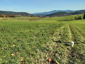 Bild 35: Ferienhaus Degenhardt - Im Urlaub und doch zu Hause