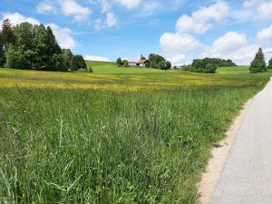 Bild 39: Ferienhaus Degenhardt - Im Urlaub und doch zu Hause