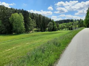 Bild 40: Ferienhaus Degenhardt - Im Urlaub und doch zu Hause