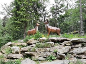 Bild 66: Ferienhaus Degenhardt - Im Urlaub und doch zu Hause