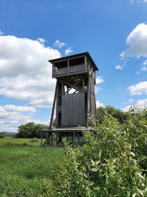 Blick über Naturschutzgebiet - Bild 60: Ferienhaus Degenhardt - Im Urlaub und doch zu Hause