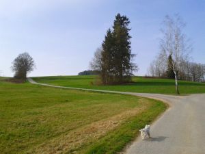 Bild 36: Ferienhaus Degenhardt - Im Urlaub und doch zu Hause