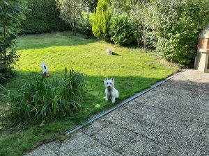 Bild 9: Ferienhaus Degenhardt - Im Urlaub und doch zu Hause