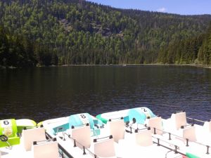 Großer Arber - 1.456 m - Bild 55: Ferienhaus Degenhardt - Im Urlaub und doch zu Hause