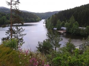 Bootsverleih in ca. 14 km vom Ferienhaus - Bild 51: Ferienhaus Degenhardt - Im Urlaub und doch zu Hause