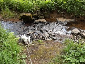 Bild 42: Ferienhaus Degenhardt - Im Urlaub und doch zu Hause