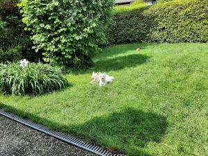 Bild 14: Ferienhaus Degenhardt - Im Urlaub und doch zu Hause