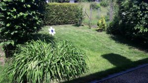 Bild 8: Ferienhaus Degenhardt - Im Urlaub und doch zu Hause