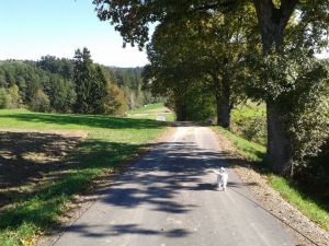 Bild 37: Ferienhaus Degenhardt - Im Urlaub und doch zu Hause