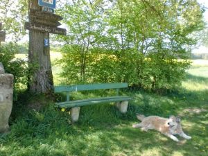Bild 9: Panorama Ferienwohnung für 2-4 Personen an der Grenze zu Luxemburg