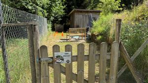 Bild 21: Ferienwohnung Waldblick 2-3 Schlafzimmer, Garten, BBQ, Kamin, Sauna