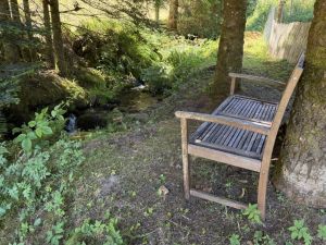 Bild 23: Ferienwohnung Waldblick 2-3 Schlafzimmer, Garten, BBQ, Kamin, Sauna