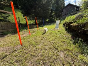 zum toben , spielen und frei laufen - Bild 38: exklusive FeWo Waldblick, 2 Schlafzimmer, Elektrokamin, Garten