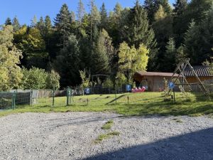 Bild 17: Ferienwohnung Waldblick 2-3 Schlafzimmer, Garten, BBQ, Kamin, Sauna