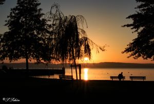 Bild 2: Ferienwohnung Sylvia & Oliver Schön Bodensee