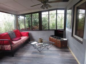 Bild 10: Ferienhaus am Wald Harz