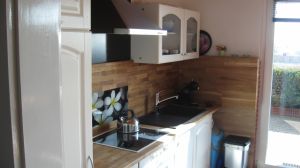 Die Küche ist eine Wohnküche direkt im Wohnzimmer. Kühlschrank mit Gefrierfach, Geschirrspüler, Herd mit Backofen, Kaffeemschine, Wasserkocher. - Bild 7: Ostsee bei Grömitz, Lübecker Bucht, Meersicht, Hunde willkommen