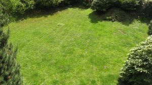 Grundstück Abgeschlossenes, umzäuntes und eingewachsenenes, blickdichtes Grundstück für Hunde mit Abstand zur Straße und den Nachbarn. Top! - Bild 2: Top-Ferienhaus Ostsee Meersicht Hunde Nahe Grömitz