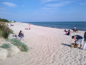 Im nahen Grömitz finden Sie auch einen tollen Hundestrand mit weissem Sandstrand. Die eine Hälfte ist mit Strandkörben bestückt, die andere Hälfte ist Natur-Strand. Ausserdem gibt es dort ausreichend Gastronomie. Also alles da für einen gelungenen Sommertag. - Bild 15: Nahe Grömitz Neustadt Pelzerhaken Rettin Ostsee Hunde willkommen