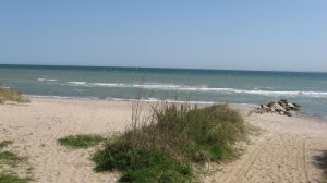 Zu Jeder Jahreszeit ist es schön hier. Frühling, Sommer Herbst und Winter. Gerade in den Zeiten ausserhalb der Sommersaison können Sie die Umgebung als Hundebesitzer besonders geniessen, da hier nur sehr wenige Menschen sind und der Strand komplett für Hunde frei ist. Erholung in seiner besten Form. - Bild 12: Nahe Grömitz Neustadt Pelzerhaken Rettin Ostsee Hunde willkommen