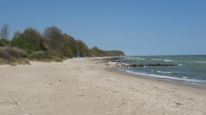 Hier können Sie nach Herzenslust mit Ihrem Hund laufen, laufen, laufen und baden, baden, baden... - Bild 1: Nahe Grömitz Neustadt Pelzerhaken Rettin Ostsee Hunde willkommen