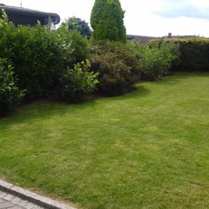 ... ist komplett für Hunde eingezäunt und hoch eingewachsen. Ca. 700 qm. - Bild 3: Hundefreundlich Ostsee mit tollem Meerblick