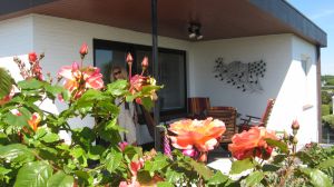 Die überdachte Terrasse bietet bei jedem Wetter einen kuscheligen Platz. Sie werden es lieben. In den Monaten April bis September finden Sie 2 Einkaufmöglichkeiten in 2-5 Gehminuten für z.B. frische Brötchen. Der Supermarkt am nahen Campingplatz (von dem bekommen Sie selbst in der Hochsaison nichts mit) ist gut sortiert. - Bild 7: Hundefreundlich Ostsee mit tollem Meerblick