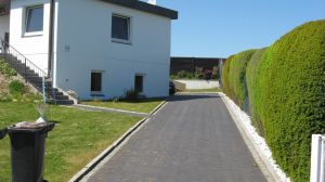 .... direkt auf dem Grundstück. - Bild 2: Hundefreundlich Ostsee mit tollem Meerblick