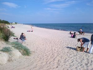 Ihren Hundestrand erreichen Sie in 2 Gehminuten. Den Hundestrand von Grömitz erreichen Sie in 10 Autominuten für den Fall, dass Sie mehr Action haben wollen. Sie haben also alle Möglichkeiten hier. - Bild 14: Hundefreundliches Ferienhaus Meersicht Lübecker Bucht bei Grömitz