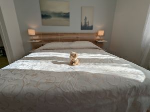 Bild 17: Ferienhaus Giorgia in Vesta am Lago di Idro mit eingezäunten Garten