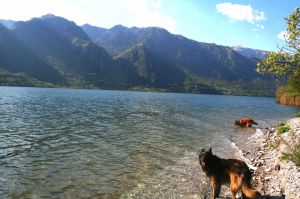 Bild 25: Ferienhaus Giorgia in Vesta am Lago di Idro mit eingezäunten Garten