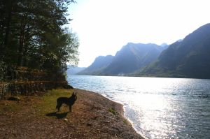 Bild 23: Ferienhaus Giorgia in Vesta am Lago di Idro mit eingezäunten Garten